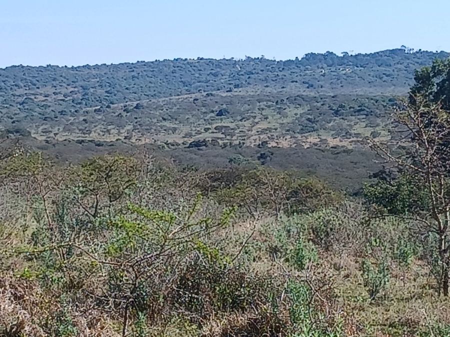 0 Bedroom Property for Sale in Kei Road Eastern Cape